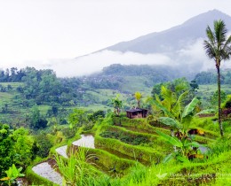 Bali, Tabanan, Jatiluwih